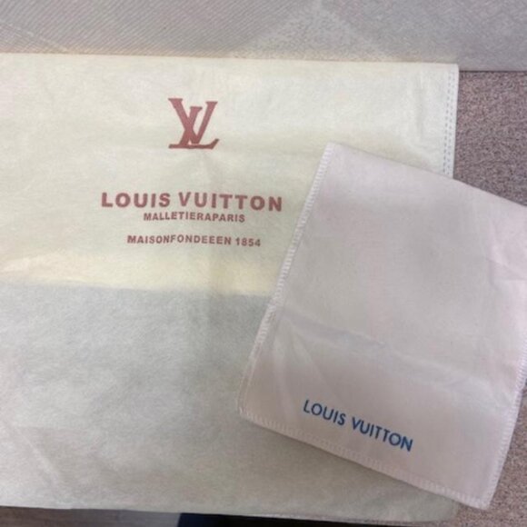 Louis Vuitton Envelope Style dust bags, 1 large, 1 small - Picture 1 of 13